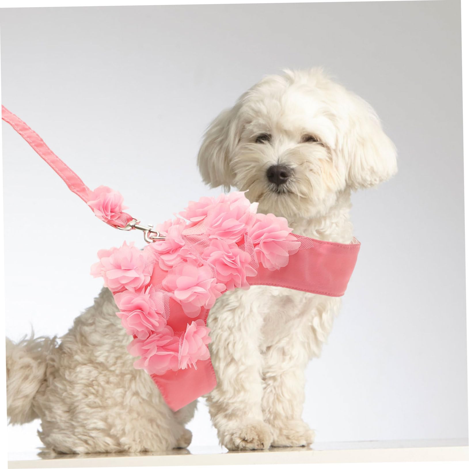 Beavorty 3stücke Verstellbares Blumen-Muster Haustiergeschirr Für Hunde Und Katzen Atmungsaktives Brustgeschirr Mit Traction Rope Für Frühling Und Sommer Zufällige Farben