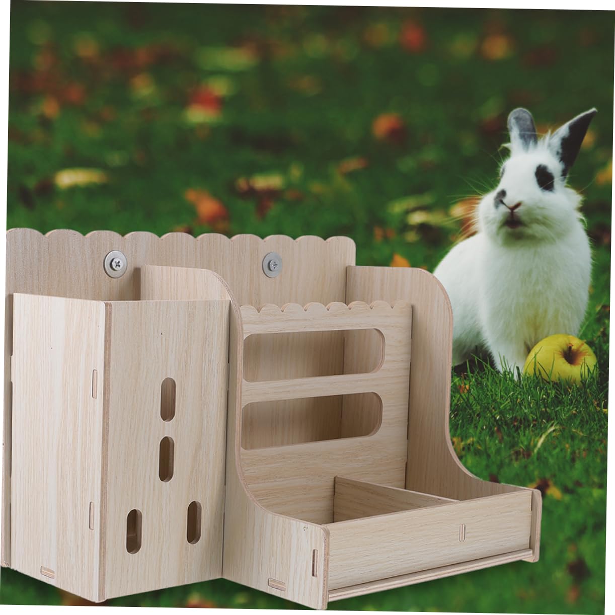Mangiatoia in Legno per Conigli, Supporto Resistente, Set 1 | Plastica, Facile da Pulire, Mantiene Cibo Ordinato, per Piccoli Animali e Criceti