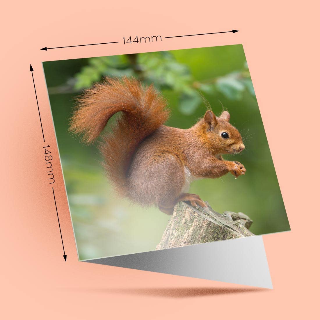 1 X Greeting Card Cute Smiling Camels Animals Desert - Blank Birthday Celebration Anniversary - View #7