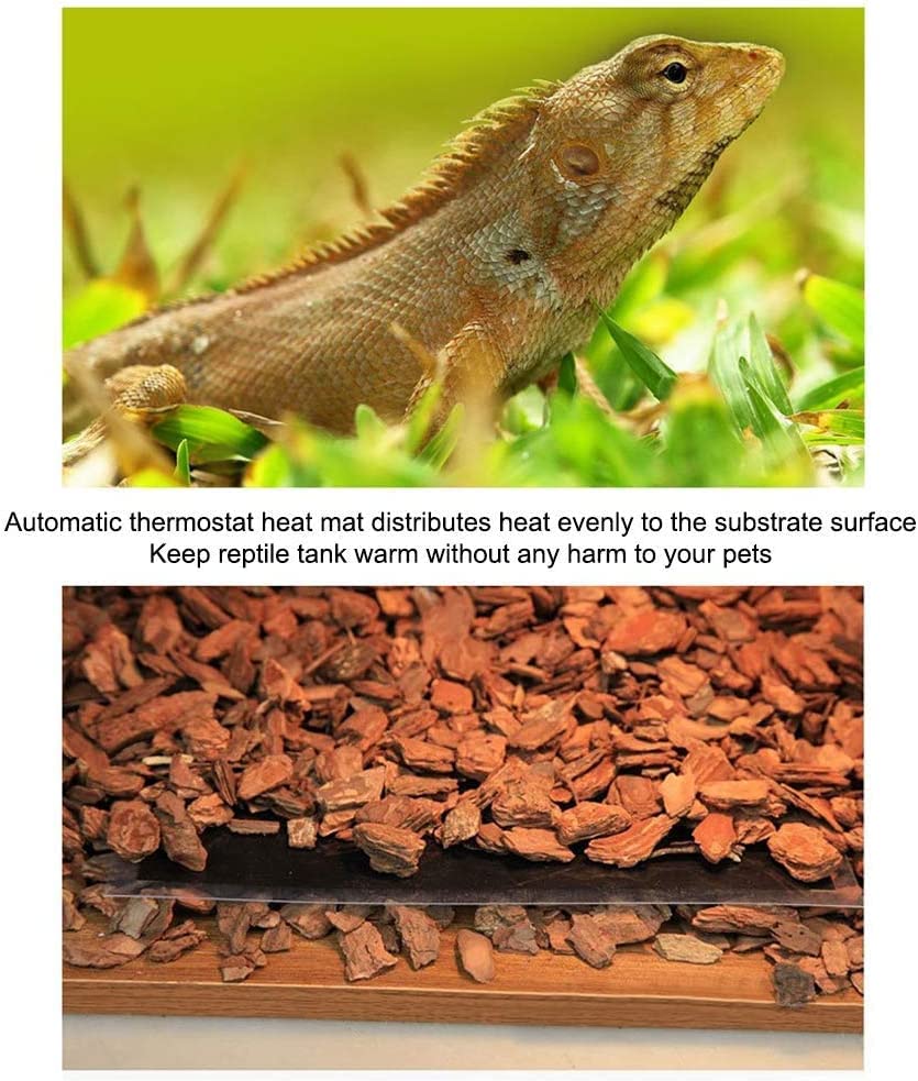Alfombrilla térmica para reptiles 35W 110V con control de temperatura miniatura 5