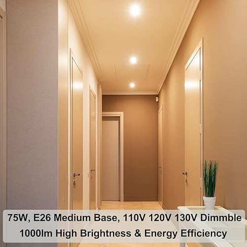 Miniatura 3 de Vinaco PAR30 - Paquete de 6 focos halógenos PAR30 de larga duración de cuello largo de 75 W, luz de inundación halógena PAR30 de larga duración, luz