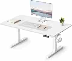 Amazon | FEZIBO 電動昇降デスク ロータイプ 幅100cm 奥行60cm