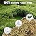 KKX Natural peat Moss Reptile Moss, Reptile Moss, Ideal Reptile Moss for Box Turtles, Hermit Crabs, Leopard Geckos, Snakes and enclosures 7 OZ