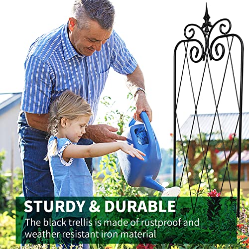 Scendor Garden Trellis For Climbing Plants 59Inch X15Inch Rustproof Metal Vine Trellises For Outdoor Climbing Plants Support Structures A (150Cm) 2Pack #TOP6