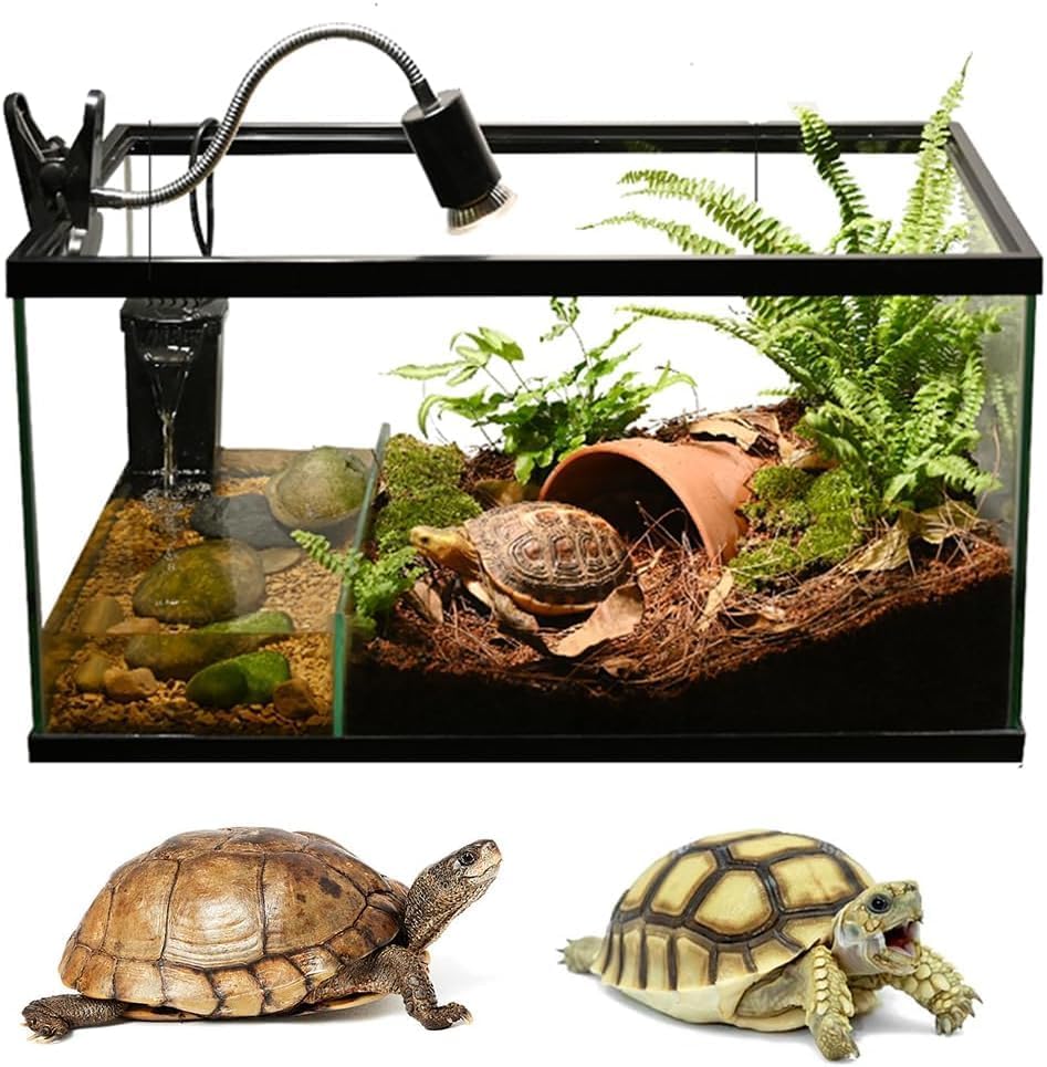 Amazon.co.jp: オウム止まり木スタンド,木製のオウムの遊び場