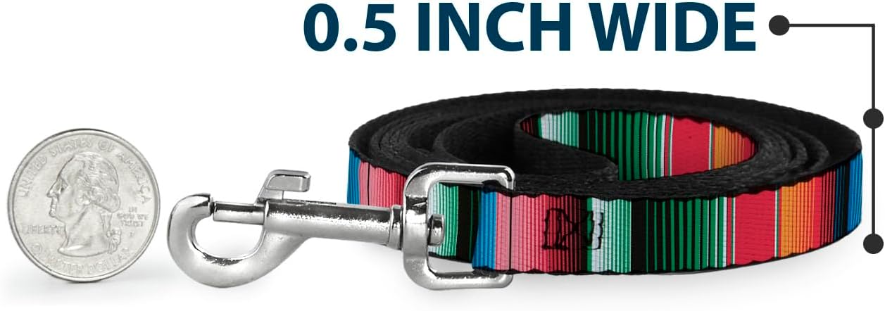 Dog Leash Zarape5 Vertical Multi Color Stripe 6 Feet Long 1.0 Inch Wide