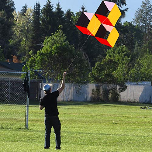 HENGDA KITE for Kids & Adults, 3D Magic Cube Box Kite Single Line Kite Flying for Children Kids Outdoor Toys Beach Park Playing