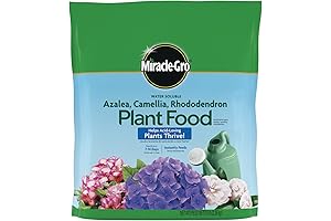 Miracle-Gro Water Soluble Azalea, Camellia, Rhododendron Plant Food