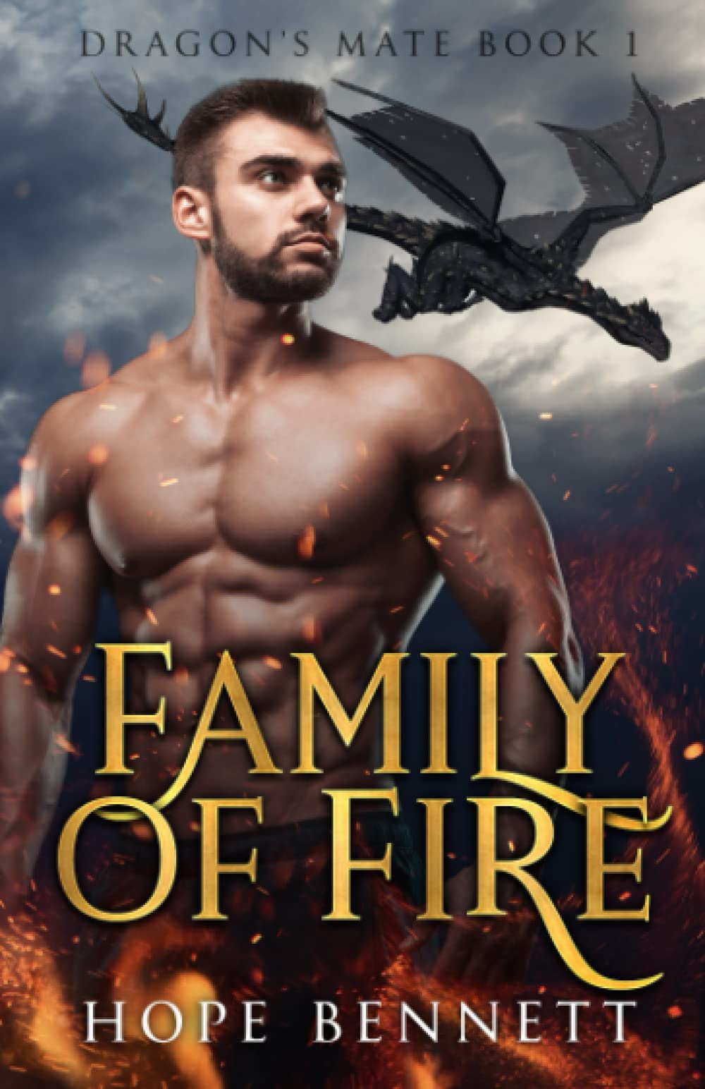 Family of Fire: a dragon shifter gay romance (Dragon's Mate (Complete series))
