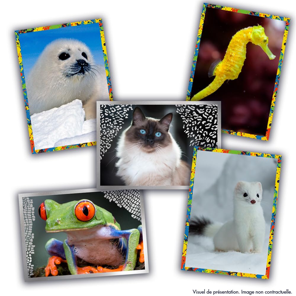 Panini Zwierzęta 2025 Blister 13 kieszeni + 4 gratis