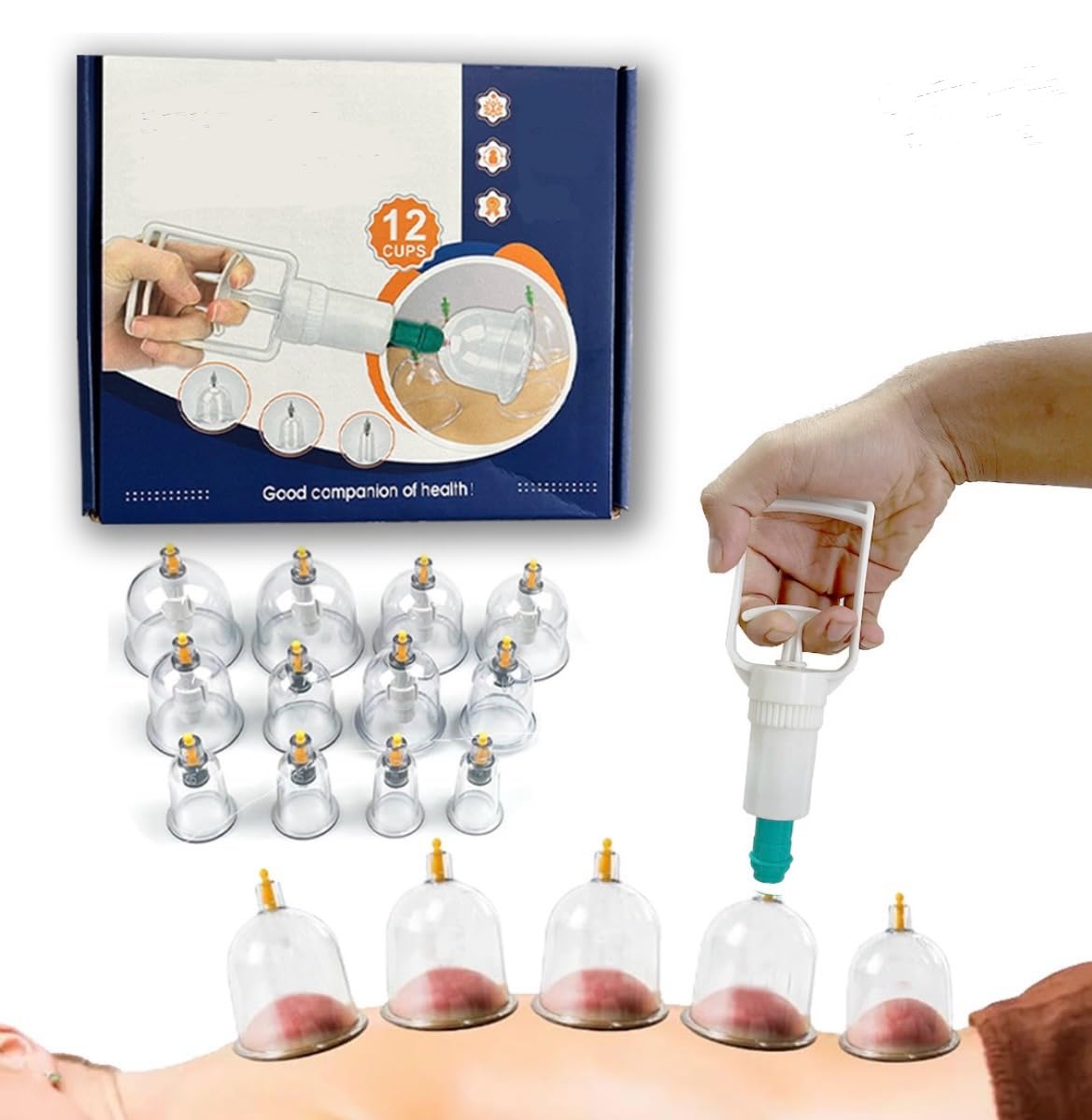 Scholazs HIJAMA 12 Cupping Therapy Set Pull Out Vacuum Cupping Kit Massage Suction Acupuncture Cupping Set (B0D84SV8ZD) Amazon Price History, Amazon Price Tracker