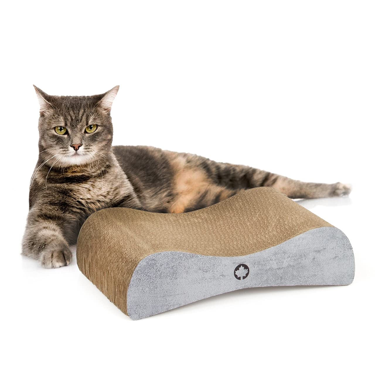 CanadianCat Company | Futterbar Cat Diner für Katzen | mit dritter