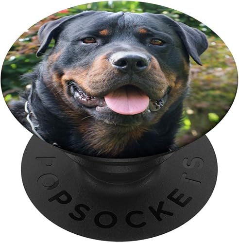 Rottweiler Dog Face PopSockets Grip y soporte para teléfonos y tabletas Negro