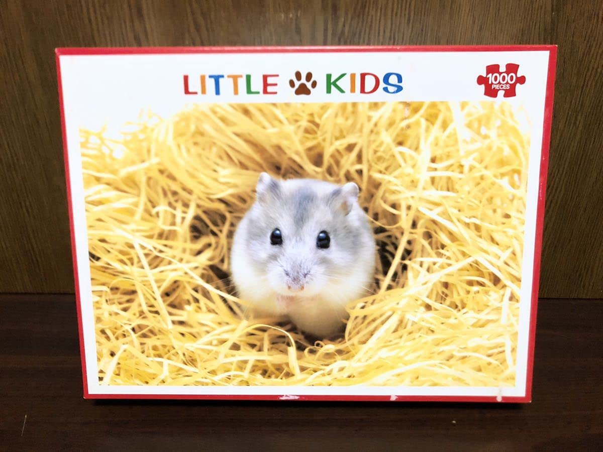 Amazon | リトルキッズ ぼく ジャンガリアン ハムスター