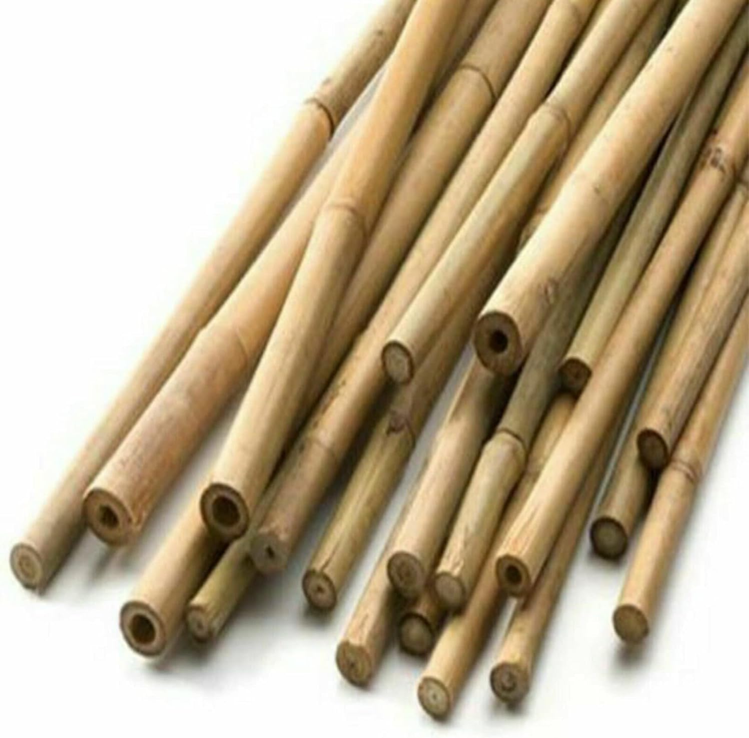 PD - Natural Bamboo Canes - Strong Heavy Duty Bamboo Plant Support ...