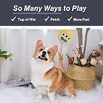 HugSmart Pet – Des boules de chien monstrueux (3-Pack) | Boule en peluche pour chiens, petites races moyennes, sans farcement, jouets interactifs pour chiens en peluche, pour chewers agressifs, conçus au Canada