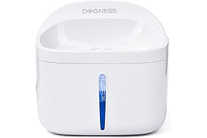 Revolutionary 2-Pack Electric Water Fountain: Quench Your Pet's Thirst Worry-Free