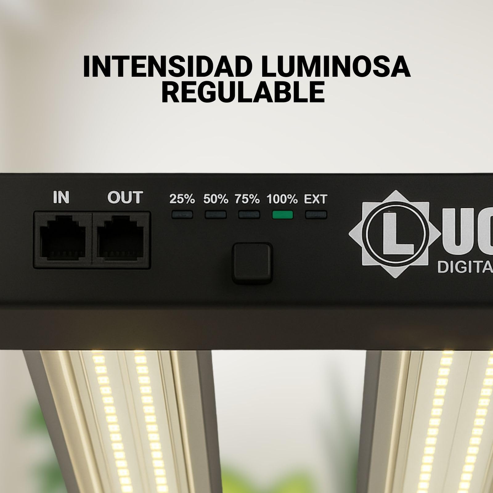 LED 240W - Iluminación Espectro Completo para Cultivar Plantas en Interior - 2.9 µmol/J, Regulable - Panel LED Profesional para Crecimiento y Floración