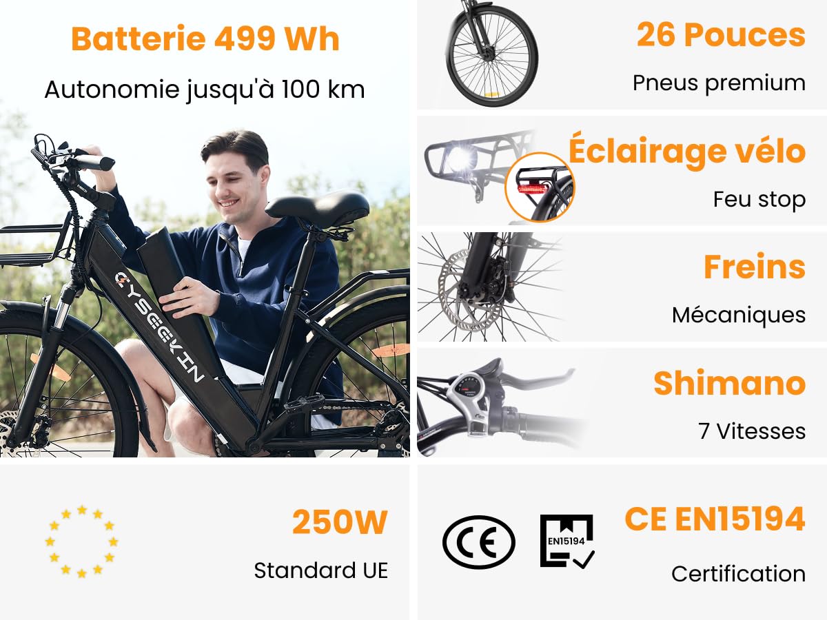 S10 E Bike Vélo électrique pour homme 26" avec moteur de 250 W Batterie 48 V 499,2 Wh Écran LCD 4,4" avec fourche à suspension, jusqu'à 100 km 25 km/h Pedelec pour femme