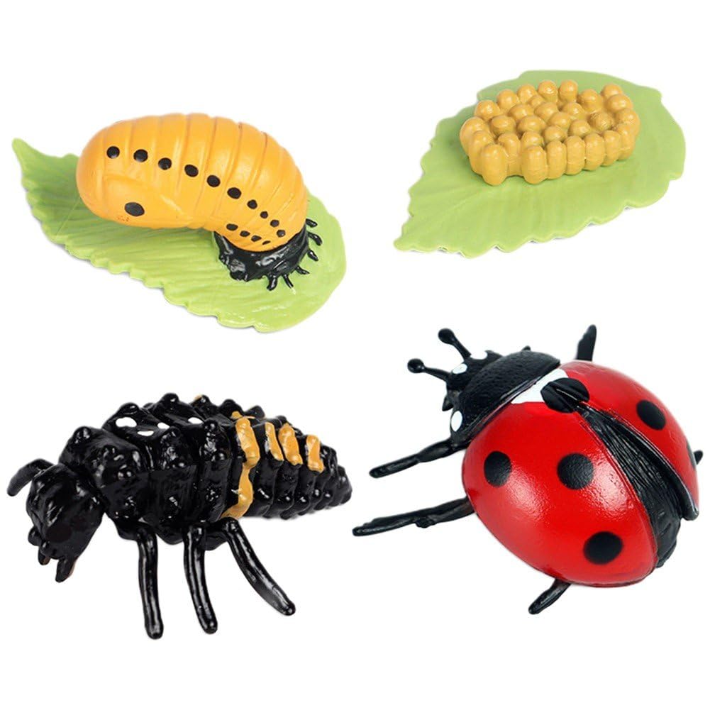 4pcs Ladybug Life Cycle Figurines, Insect Growth Cycle Model Kit, Seven-spot Ladybird Educational Learning Tool for Play & Collection Decor