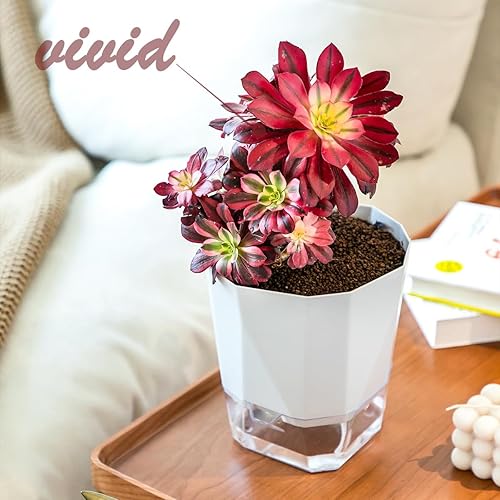 Miniatura 10 de Paquete de 2 macetas de riego automático de 8.4 pulgadas, macetas de violeta africana para interiores y exteriores, transparente y gris oscuro