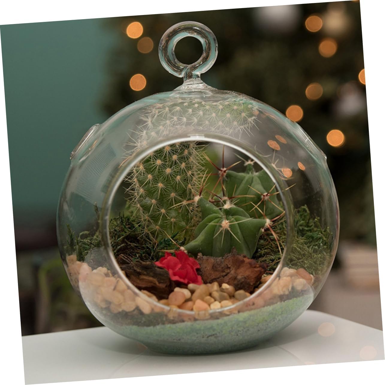 6 Pcs Glass Ball Vases Terrarium Decor Bulk Hanging Vases for Flower Plants