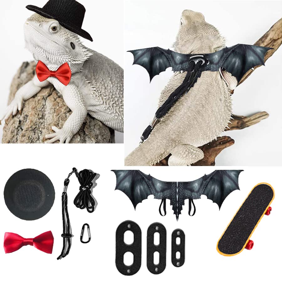 New Lizard Leash and Bearded Dragon Wings, Reptile Hammock, Bearded Dragon Hat & Bowtie and Lizard Skateboard Suitable… - Image 3