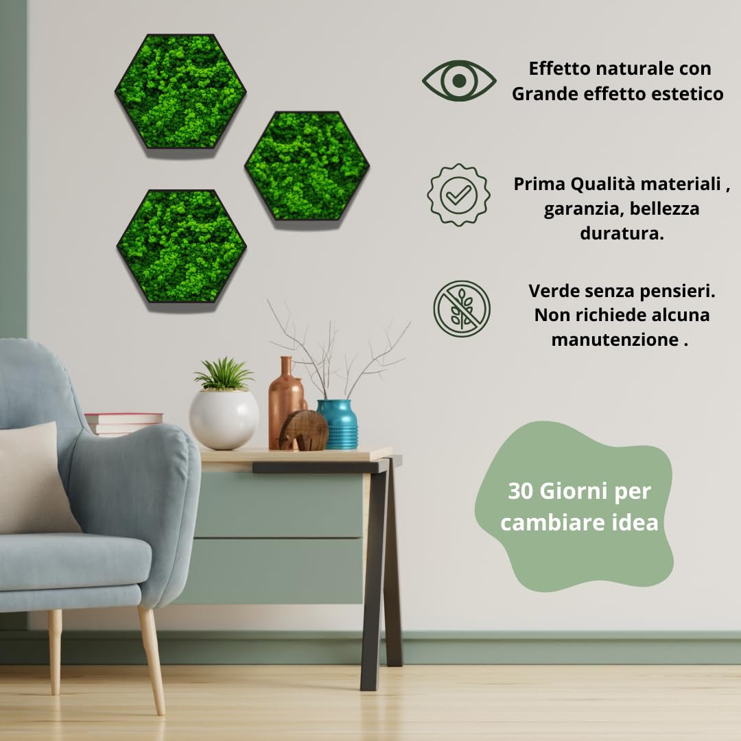 Quadro Esagonale Verde Stabilizzato con Muschio e Licheni Naturali - Decorazione Vegetale di Design per Casa e Ufficio - Senza Manutenzione (Esagonale 40x40 cm., con Cornice)