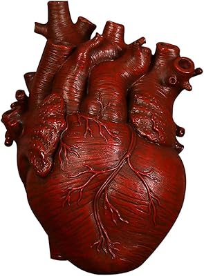 Tubayia Estatuas de corazón jarrón anatómico macetero jarrón de flores para salón TV armario dormitorio (rojo 15 x 10,5 x 21 cm)