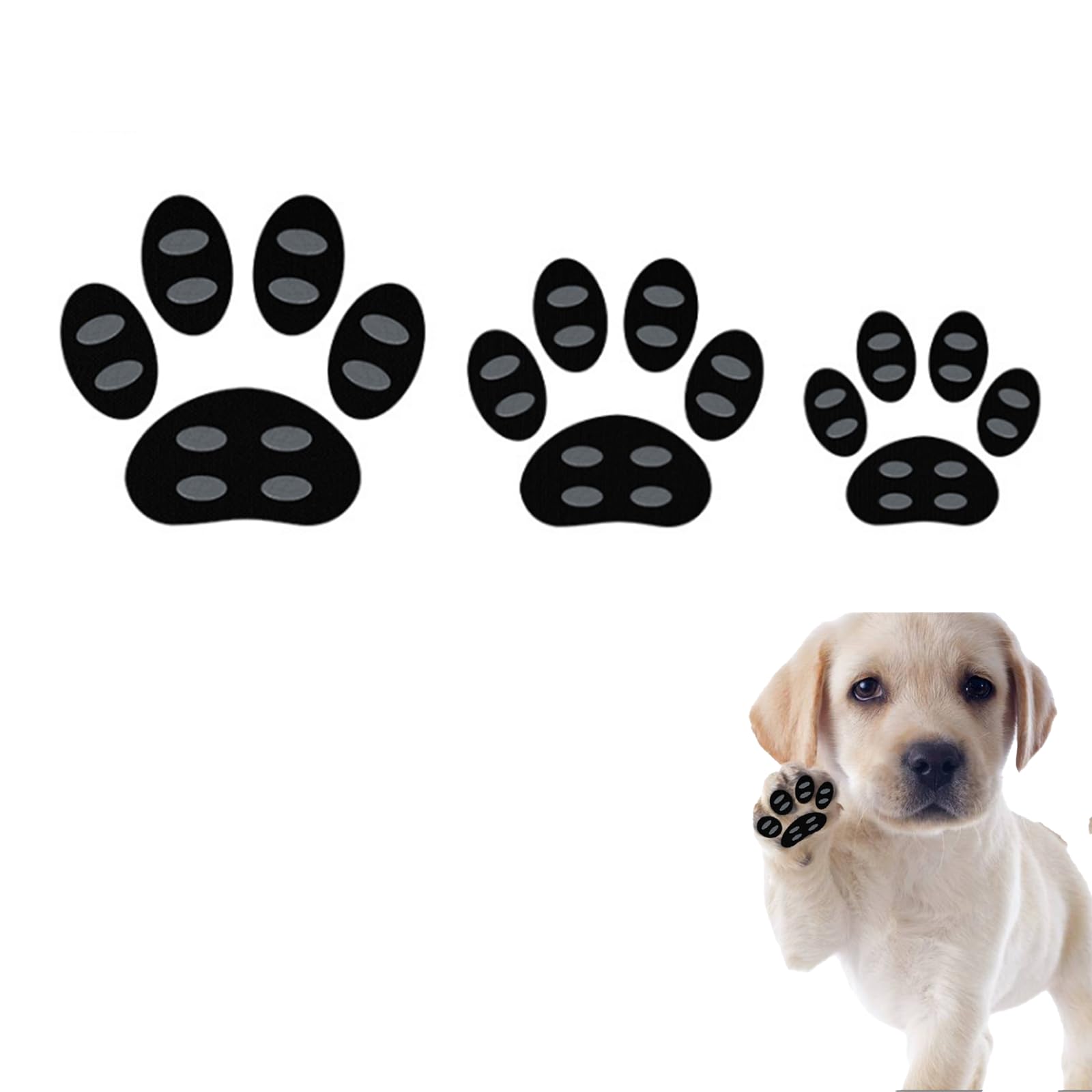 Coussinets pour pattes de chien de glisser sur les planchers en bois dur