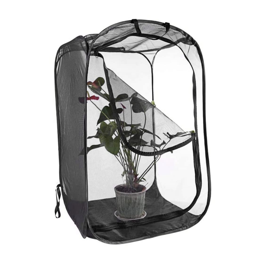 Gabbia di Farfalla Pieghevole, Insetto di Bastone 1.8x11.8x11.8 Pollice Trasparente Con Cerniera E Maniglia, Habitat Portatile Per Ciniglia e Farfalla