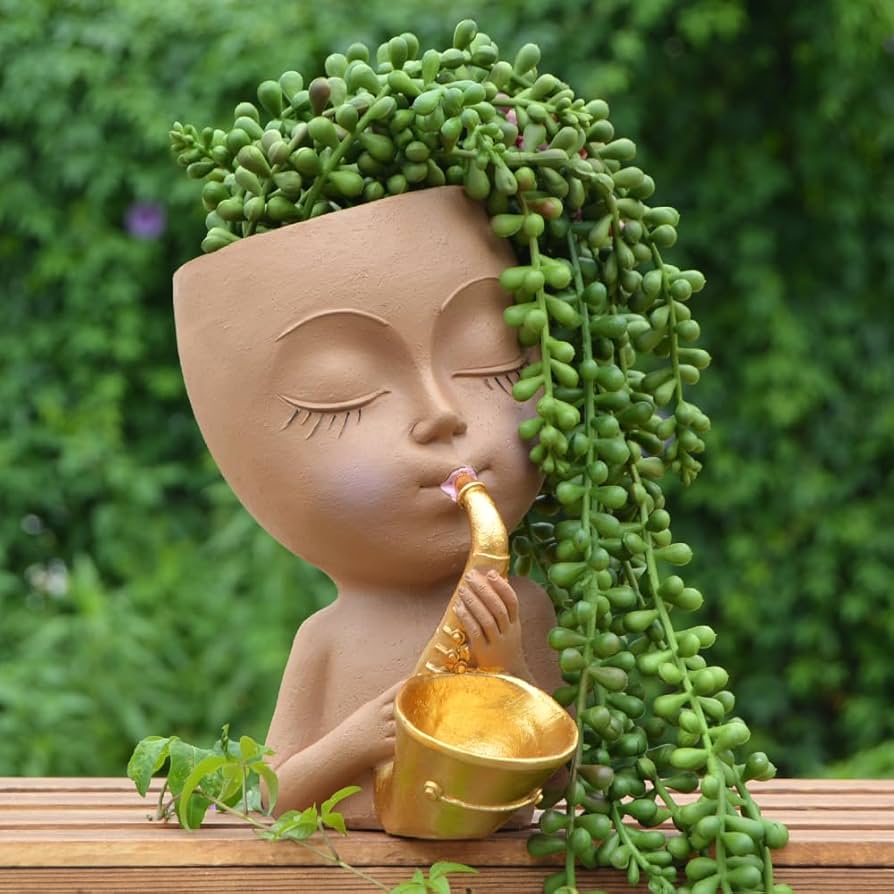 ScarFace様 鉢ごと ScarFace様 鉢ごと Amazon.co.jp: Abbott Collection Home 小型