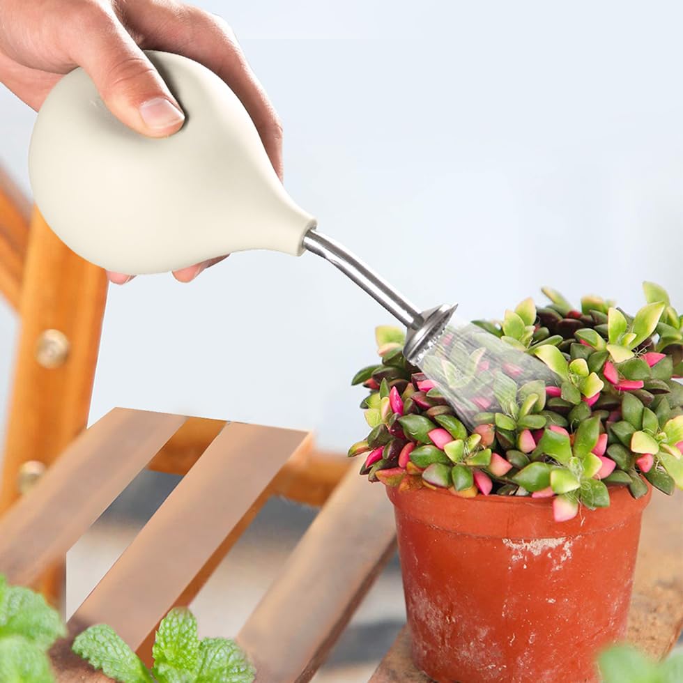 Allrounda Watering Spray Ball Bonsai Sprayer Stainless Steel Spout,  Watering Cans Alternative for Small Plants Cuttings Flowers Seedlings  (Buttercream) : Buy Online at Best Price in KSA - Souq is now Amazon.sa: