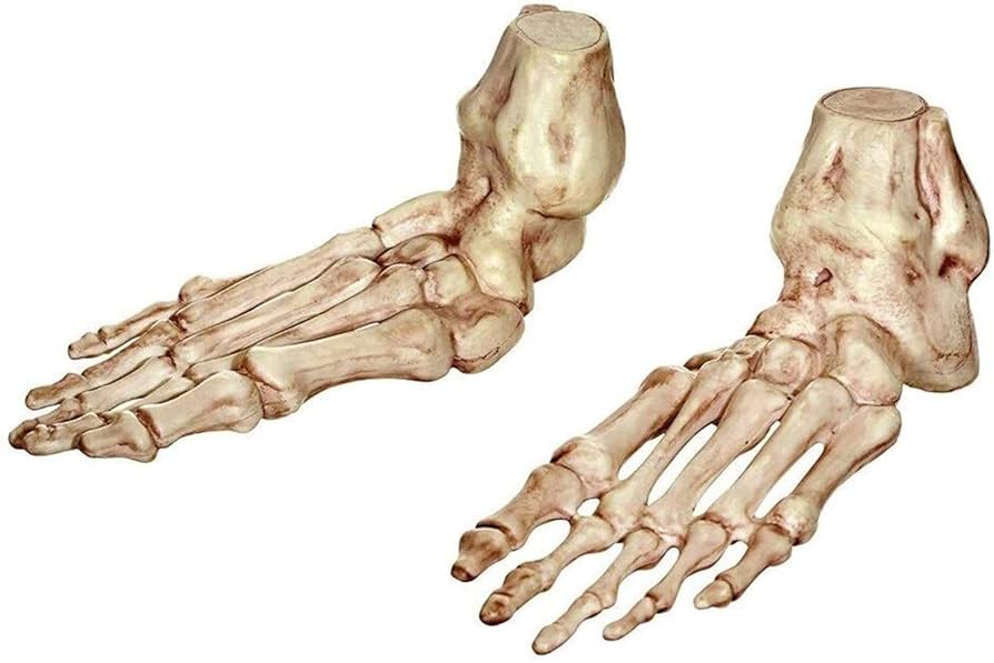 一休骸骨 Amazon.co.jp: YWAWJ スケルトン恐ろしい足デコレーション