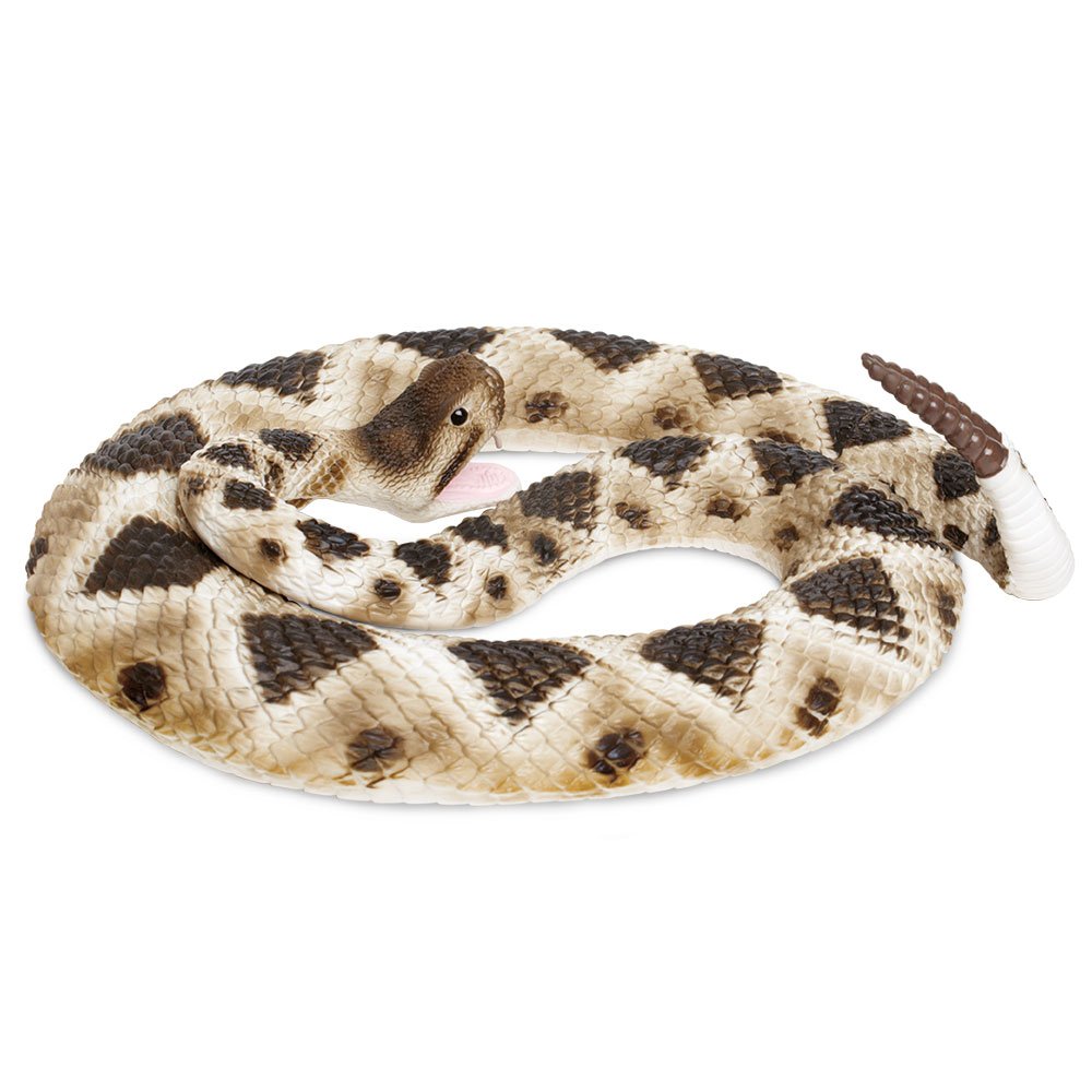 Top-down view of the coiled Eastern Diamondback Rattlesnake replica