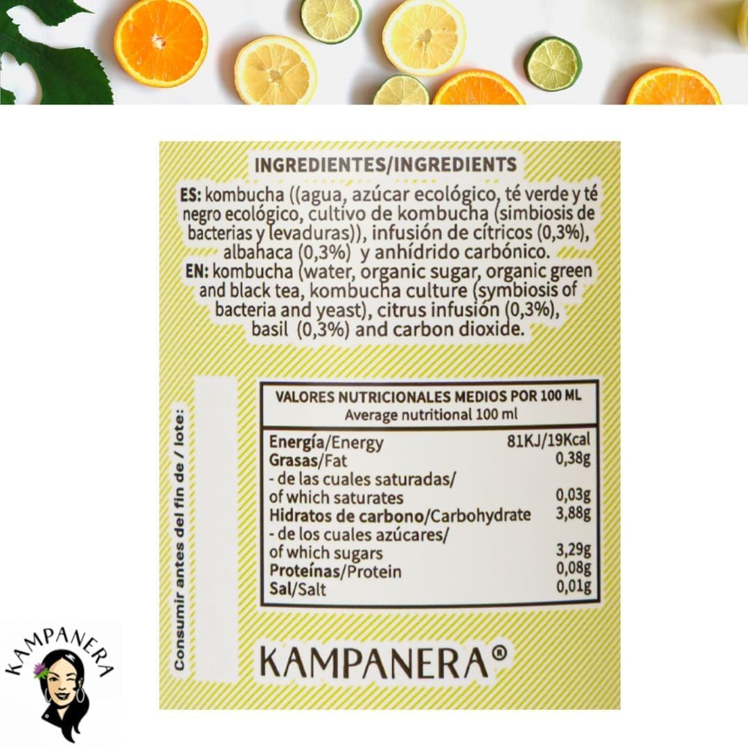 Kampanera - Pack Mix Kombucha 5 Estrellas -12 Botellas de 250 ml - Kombucha Natural - Bebida Fermentada - Té Verde y Negro - Sin Azúcar Añadida - Baja Carbonatación - Artesanal