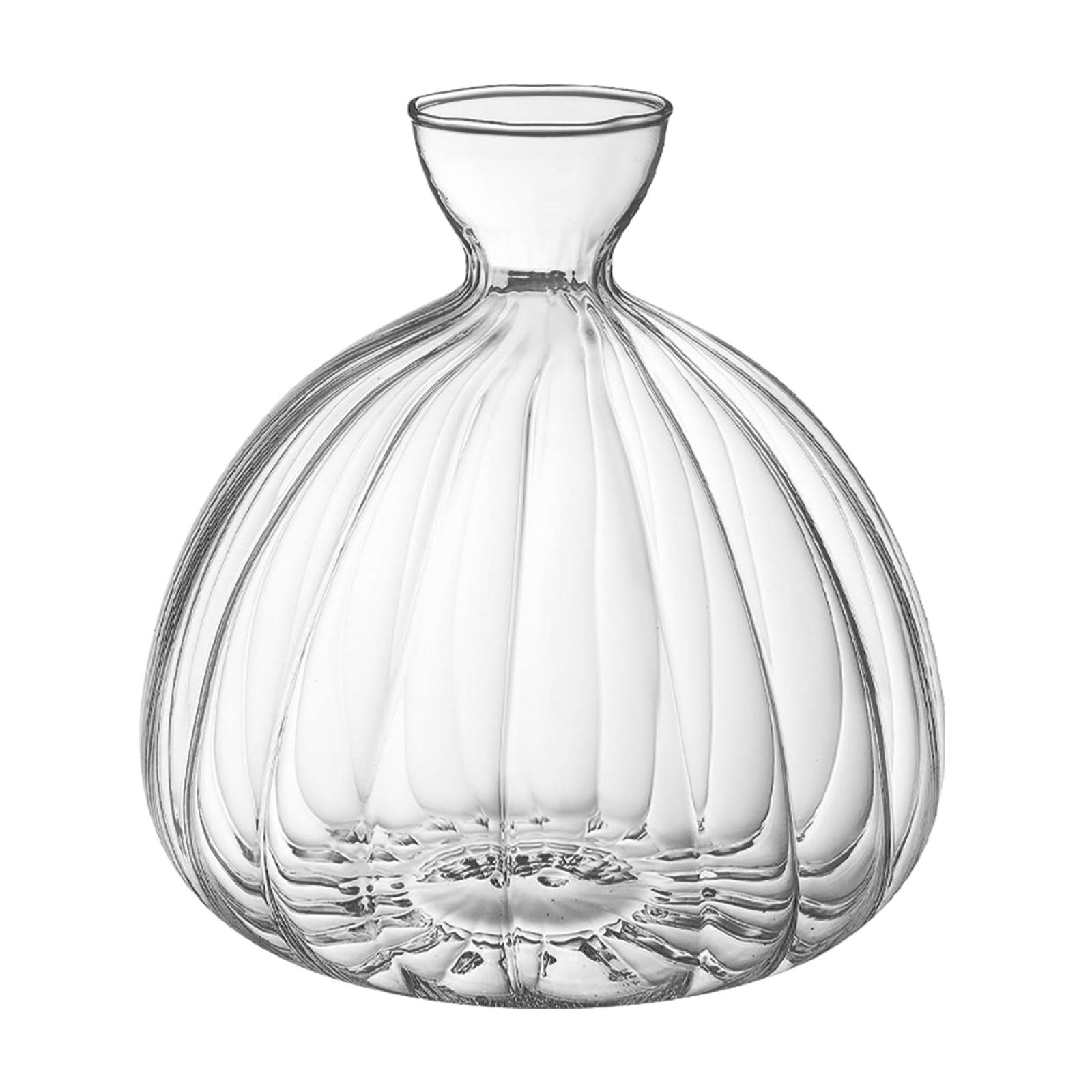 Avocado Seed Starter Vase, Clear Avocado Tree Flower Vases Pot for Growing Planter, Avocado Tree Growing Kit Glass Hydroponic Seed Plant Vases for Home Table Desk Indoor Decor