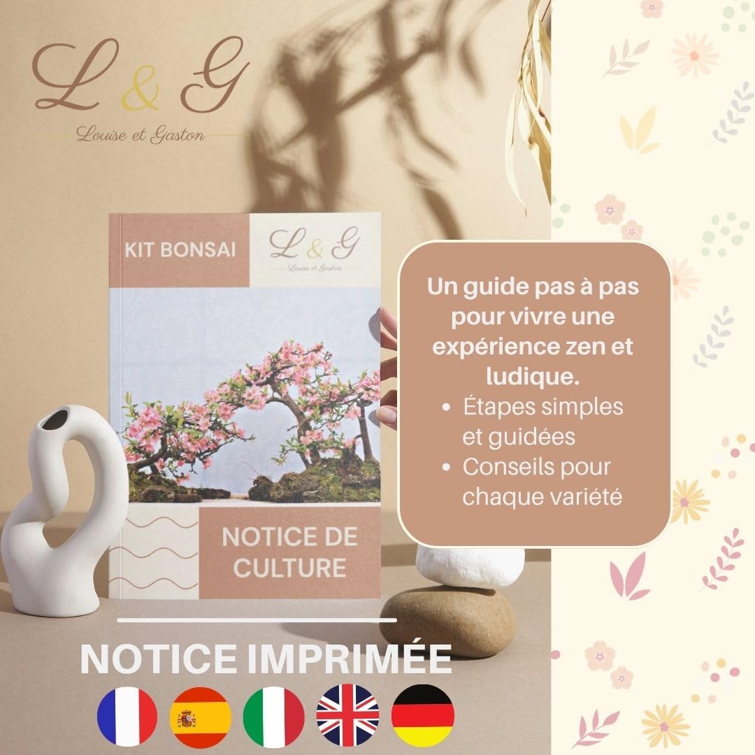 Kit Bonsaï D'intérieur Complet - 6 Graines Variées, Pots Biodégradables, Outils - Idée Cadeau Jardinage, Fait En France