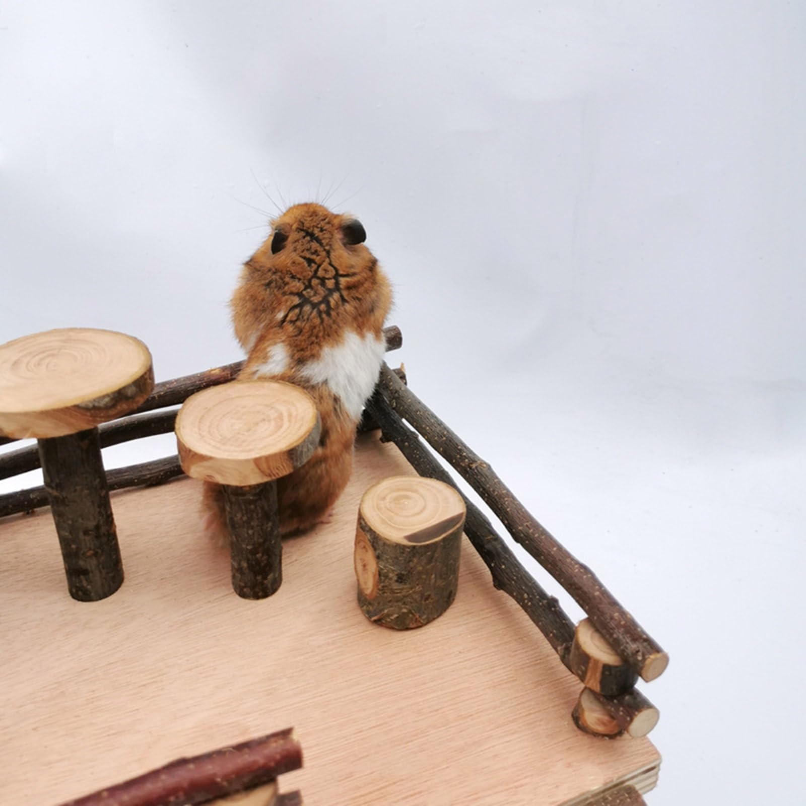 Hamsterkäfig Leiter Spielzeug für kleine Haustiere Holz Plattform Eichhörnchen Käfig Spielzeug Zubehör Kleintier Klettern Hamsterhaus