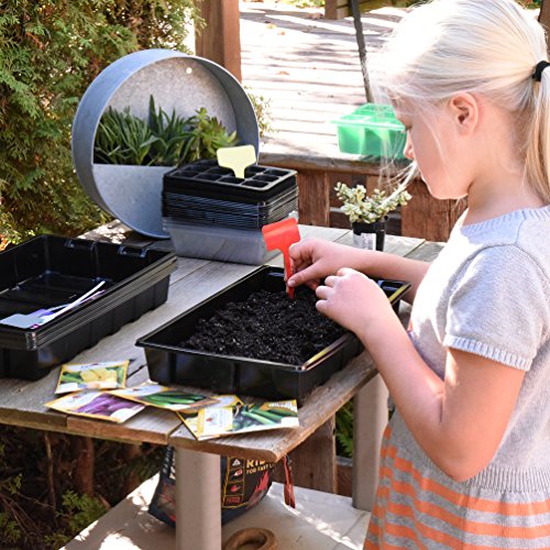 10 Seed Starting Plant Trays - Durable, Reusable, No Holes - Perfect for Greenhouse, Microgreens & Hydroponics