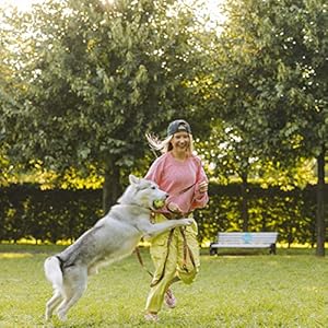 Besthls Dog Tennis Ball 2 Inch Pet Toy Rubber Balls for Pet Puppy Tiny Small Dogs Fetching Exercise  Training 16 Pack  Cucciolini Doodles Besthls dog tennis ball 2 inch pet toy rubber balls for pet puppy tiny small dogs fetching exercise  training 16 pack   cucciolini doodles