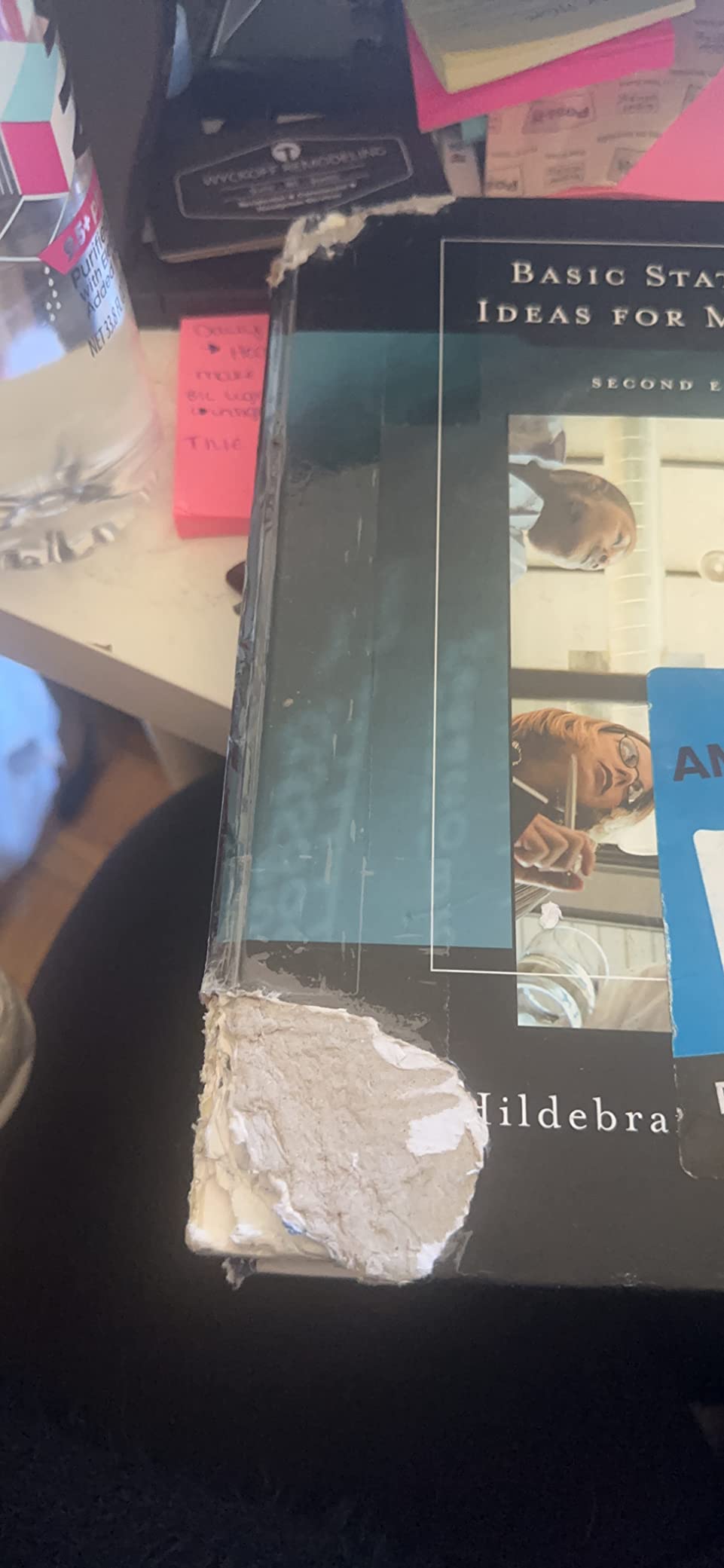 Someone’s Dog Literally Ate Their Homework