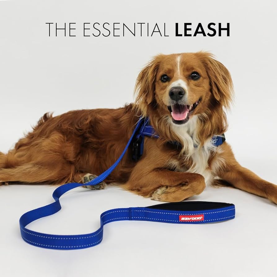 Ezydog Essential Lead Training Lead For Small Medium Large Dogs Sturdy Dog Lead Comfortable Padded Handle Reflective Thread 1 2 M Lead Red