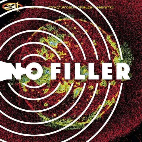 Songs For The Newly Sane: 311's From Chaos