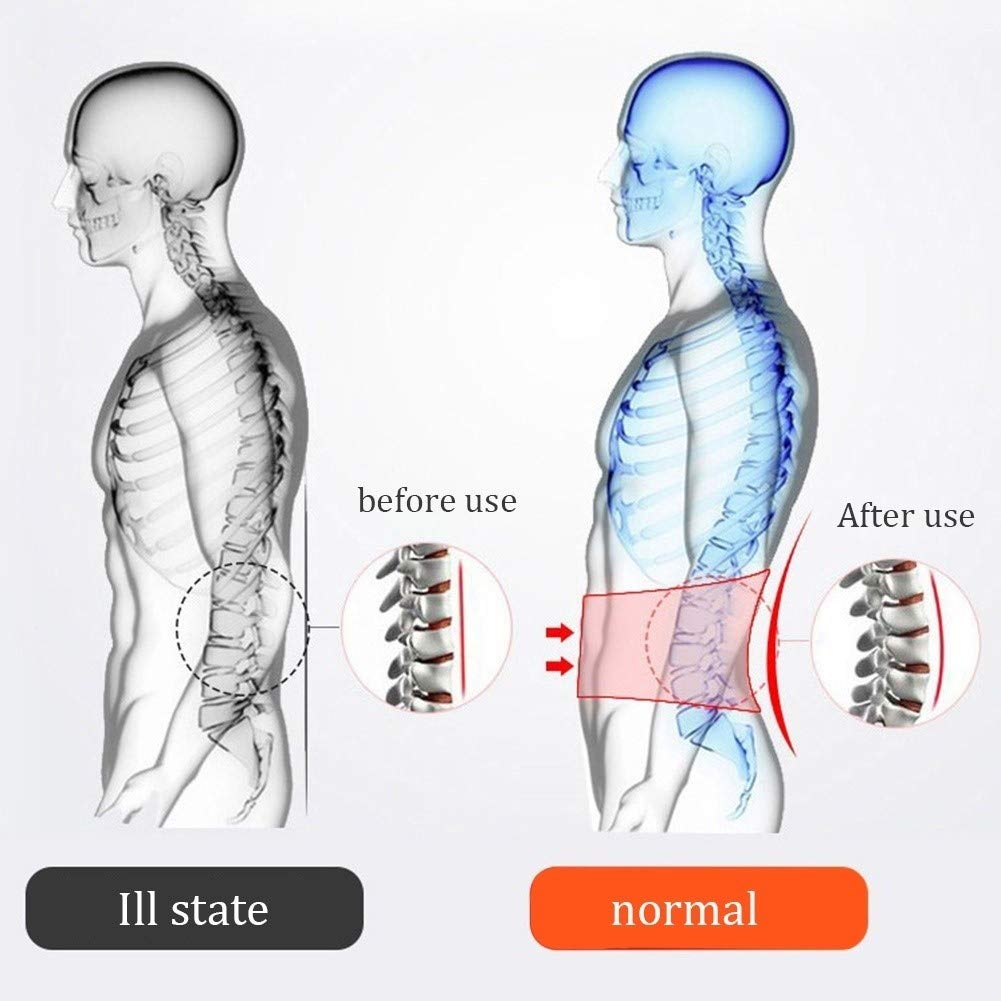Lumbar Brace Belt Soporte de Espalda Inferior para Mujeres Hombres Hernia de Disco Ciática Escoliosis Cintura y Abdomen Calentamiento Alivio del Dolor (Size : L)
