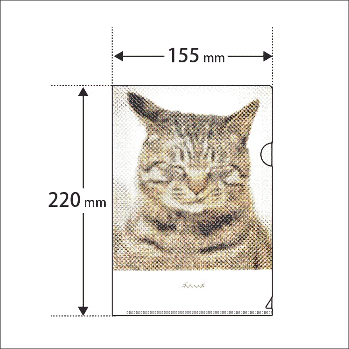 Amazon | キジトラ猫 クリアファイル 写真 A5サイズ 日本製 2枚