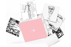 Phomemo M02 Label Maker: The Ultimate Pocket Printer for Versatile Sticky Situations