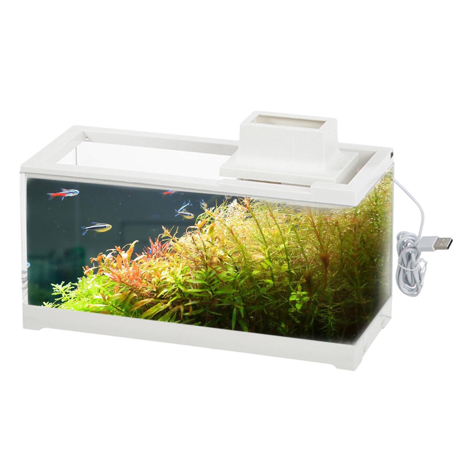 Acuario de Escritorio, pecera de Escritorio Acuario pequeño, Abierto, | Acuario de escritorio Mini pecera transparente para escritorios, mesas, estante