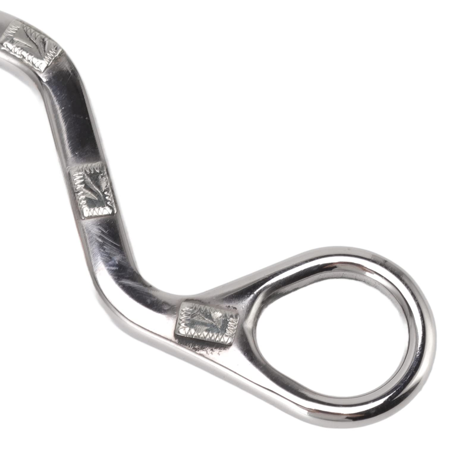 Filete de Boca de Caballo de 120 mm con Cadena, Broca de Caballo de Acero Inoxidable para Equipo de Entrenamiento Ecuestre