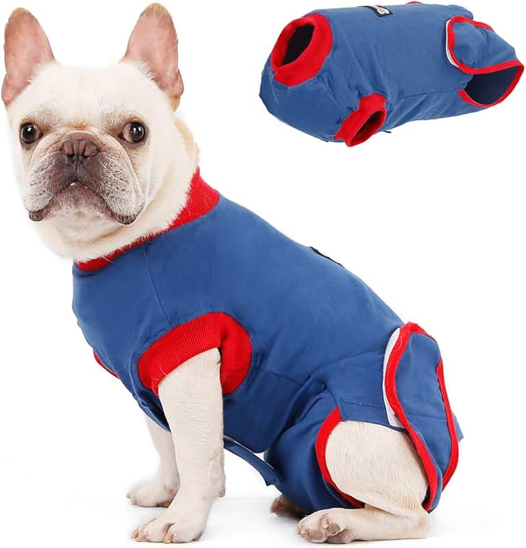 Amazon.co.uk dogs surgical suit Surgery Recovery Suits / Health